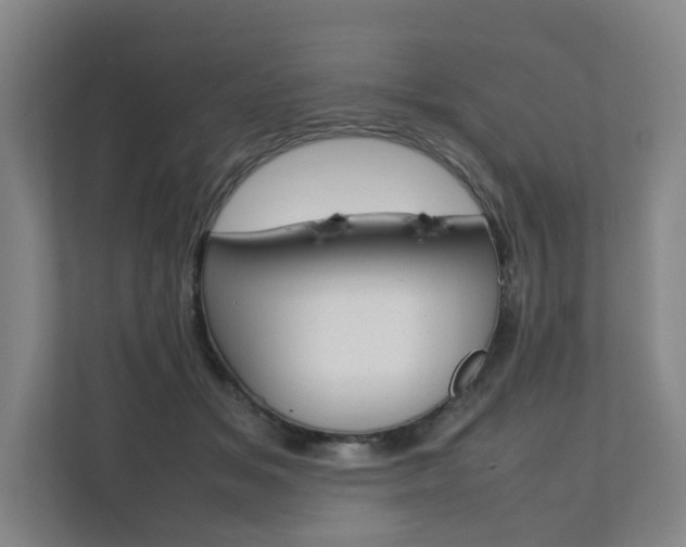 X0000112070509200908040953