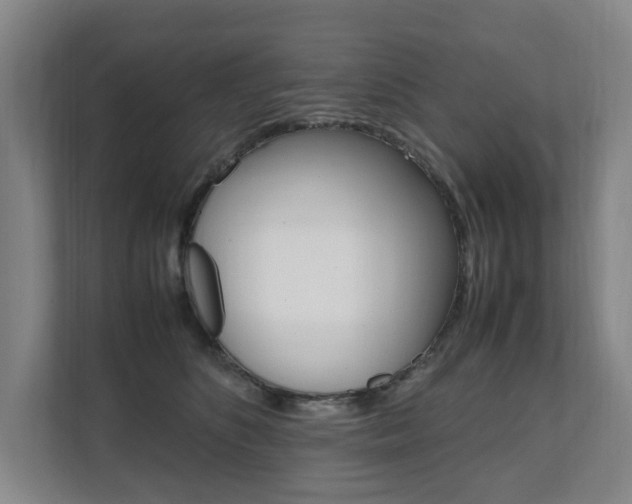 X0000112070516200908040953