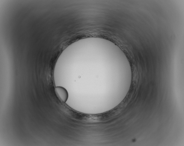 X0000112070518200908040953