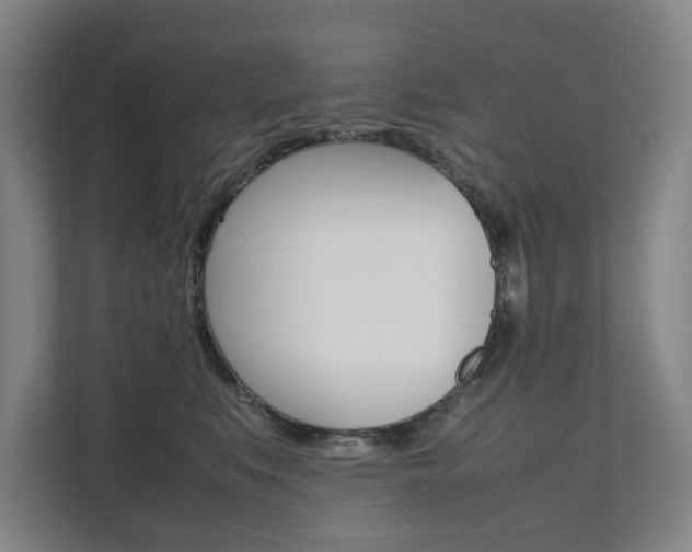 X0000112070519200908040953