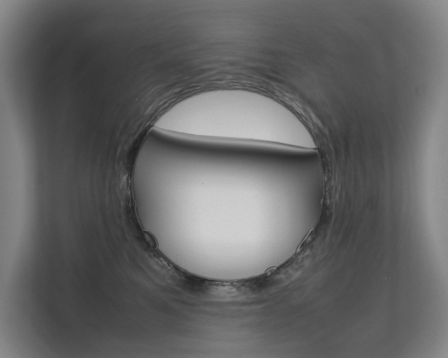 X0000112070521200908040953