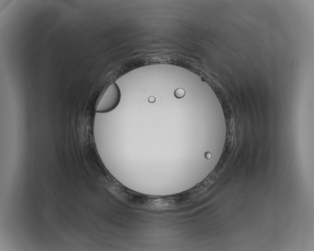 X0000112070522200908040953
