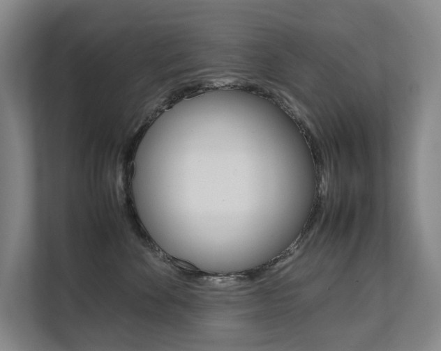X0000112070524200908040953