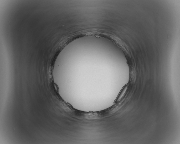 X0000112070525200908040953