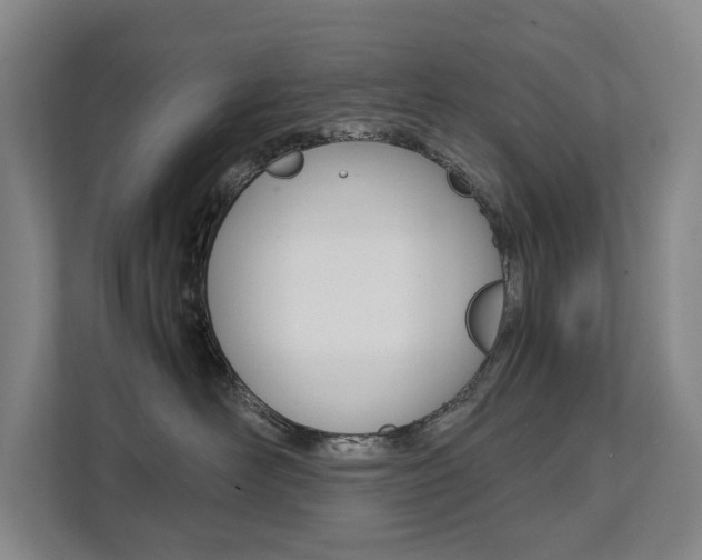 X0000112070526200908040953