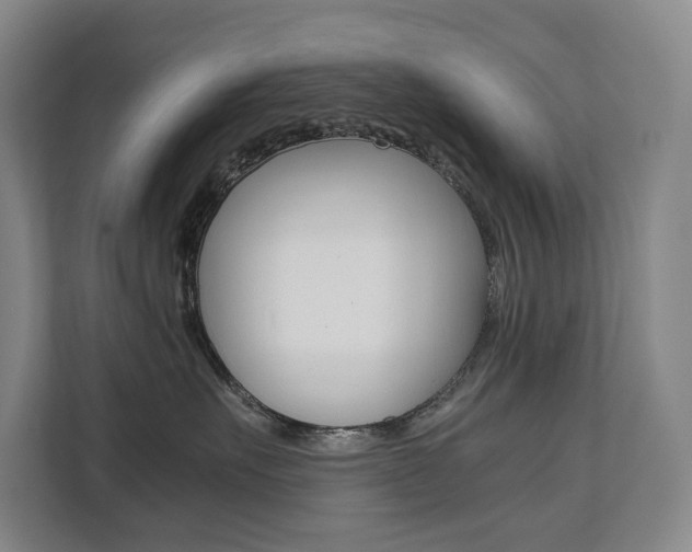 X0000112070527200908040953