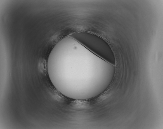 X0000112070528200908040953