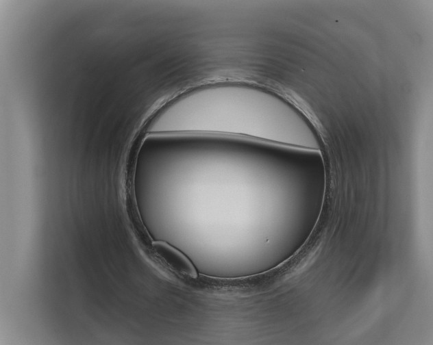 X0000112070530200908040952