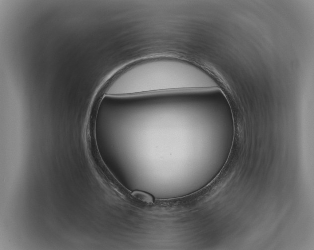 X0000112070532200908040952