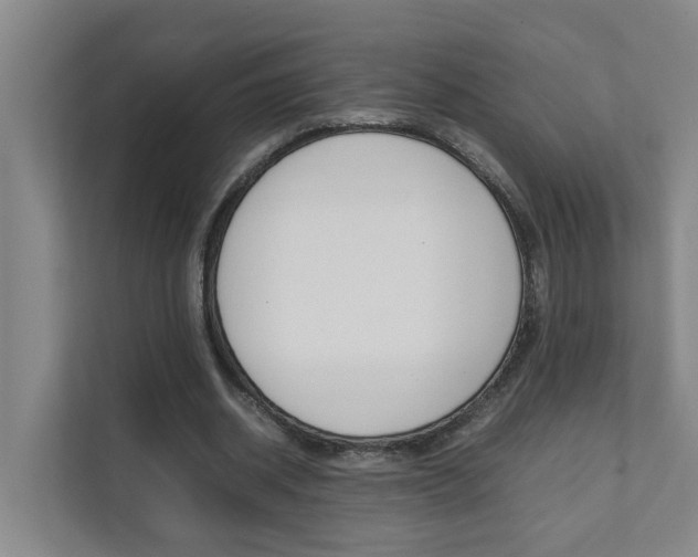 X0000112070534200908040952