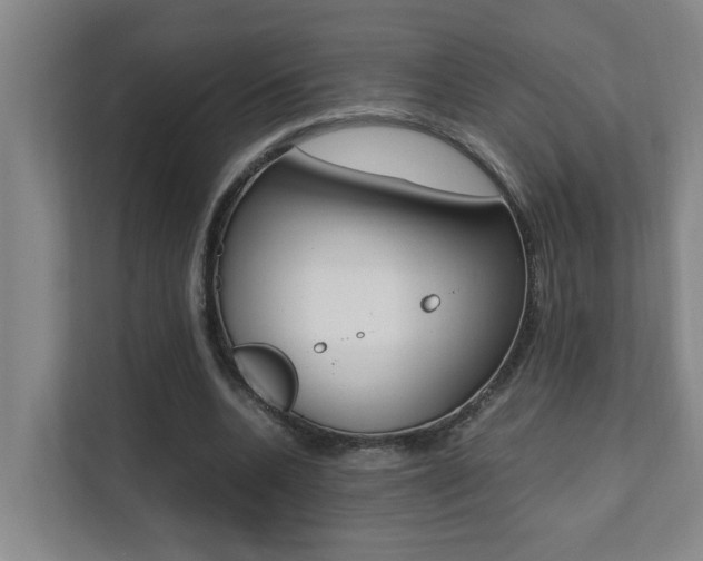X0000112070536200908040952