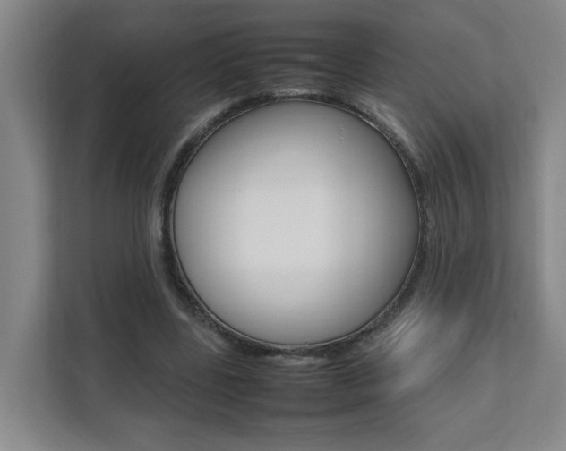 X0000112070539200908040952