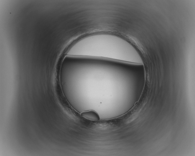 X0000112070540200908040952