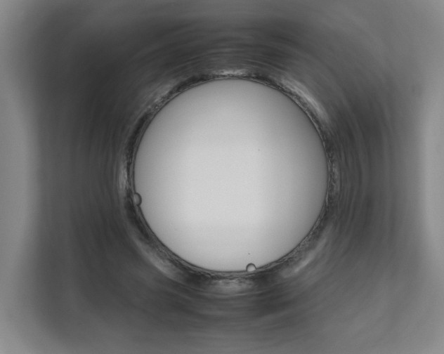 X0000112070541200908040952