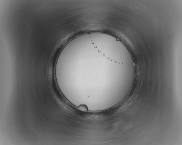 X0000112070542200908040952