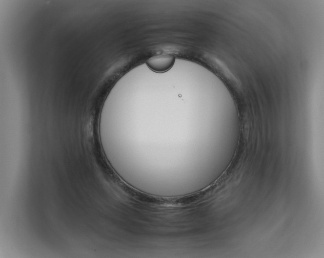 X0000112070543200908040952