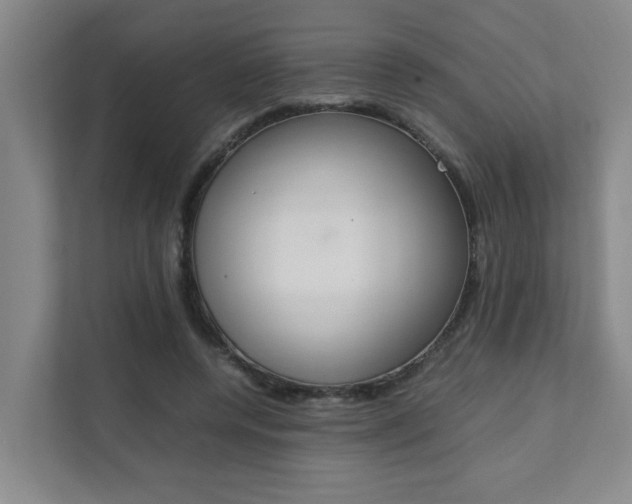 X0000112070544200908040952