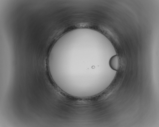 X0000112070545200908040952