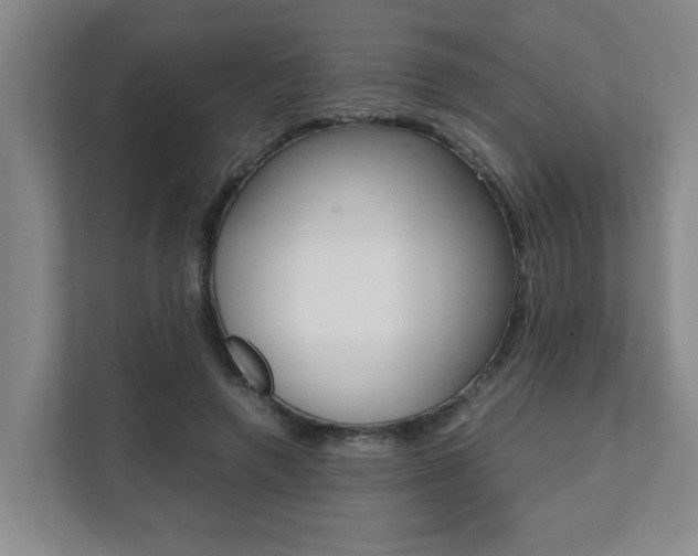 X0000112070546200908040952