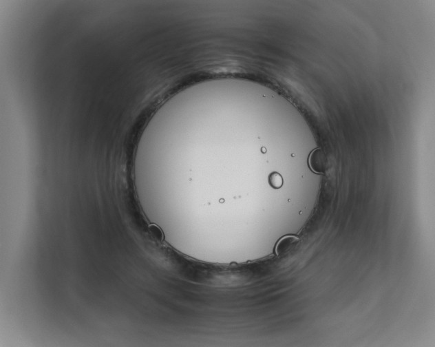 X0000112070547200908040952