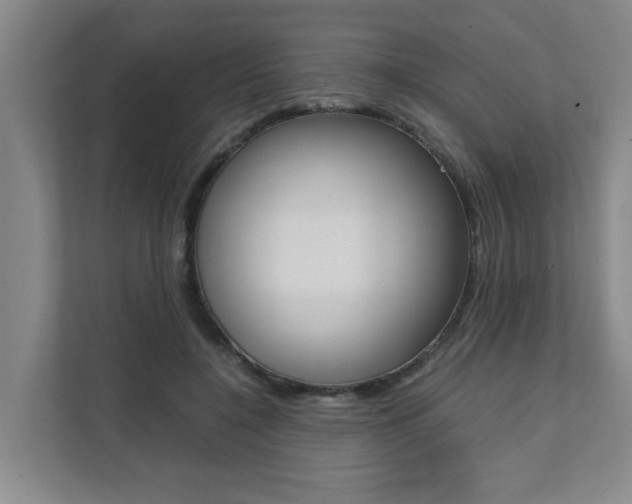 X0000112070548200908040953