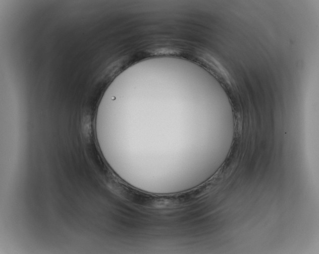 X0000112070549200908040953