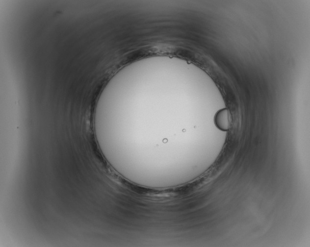 X0000112070553200908040953
