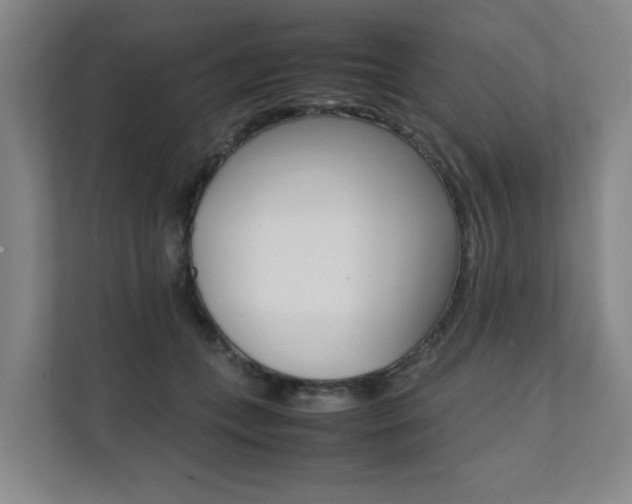 X0000112070559200908040953
