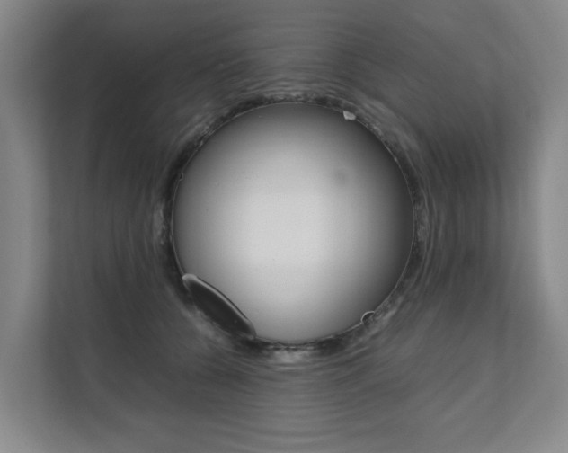 X0000112070560200908040953