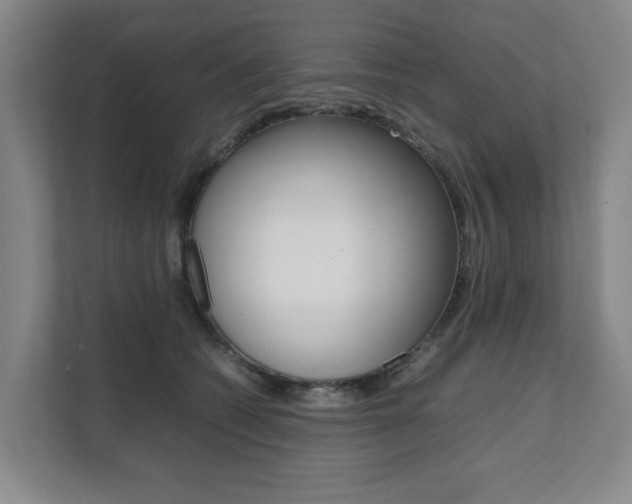 X0000112070562200908040953