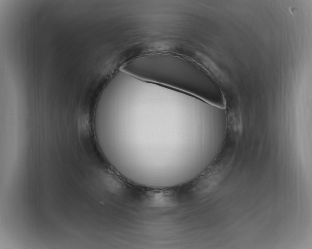 X0000112070564200908040953