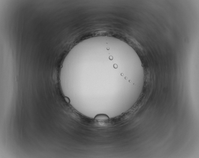 X0000112070565200908040953