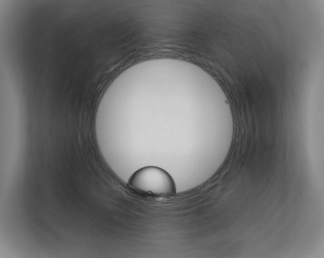 X0000112070566200908040953