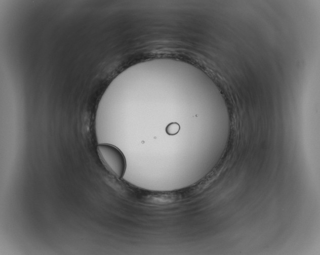 X0000112070567200908040953