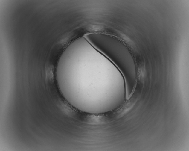 X0000112070570200908040953
