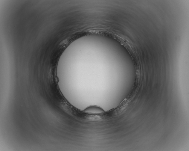 X0000112070572200908040953