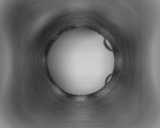 X0000112070574200908040953