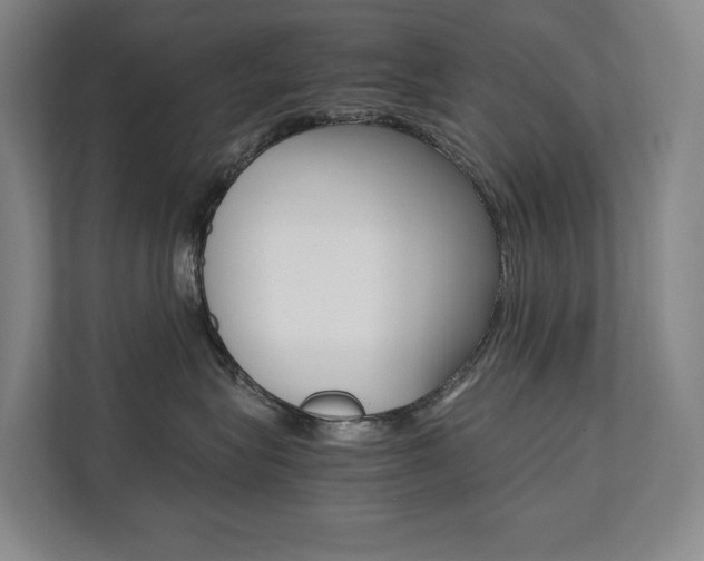 X0000112070575200908040953