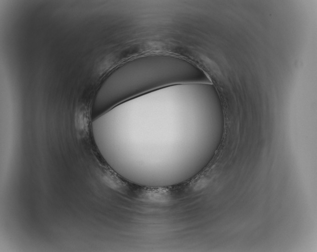 X0000112070576200908040953