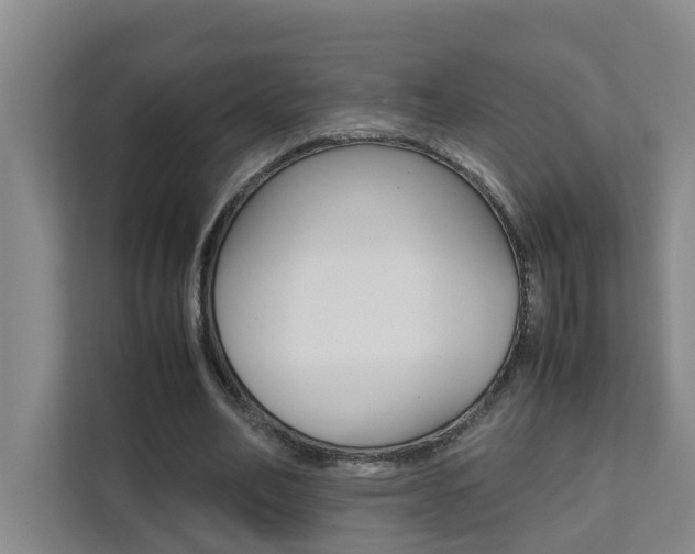 X0000112070582200908040952