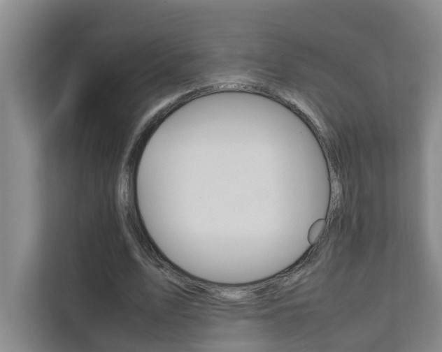 X0000112070583200908040952