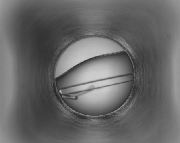 X0000112070585200908040952