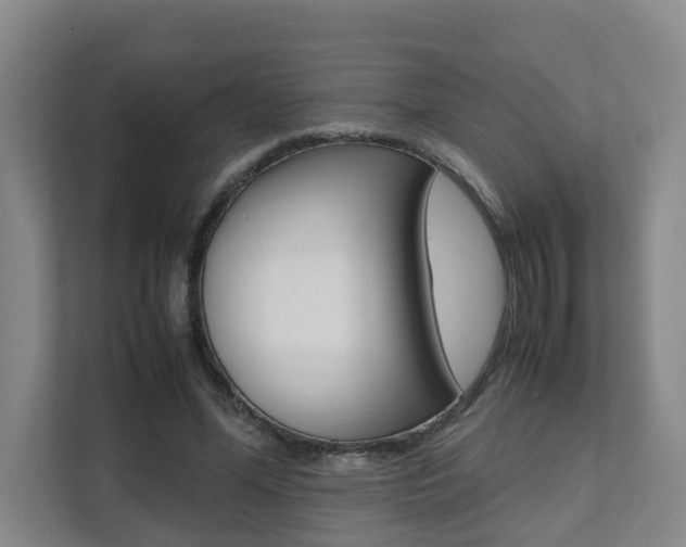 X0000112070588200908040952