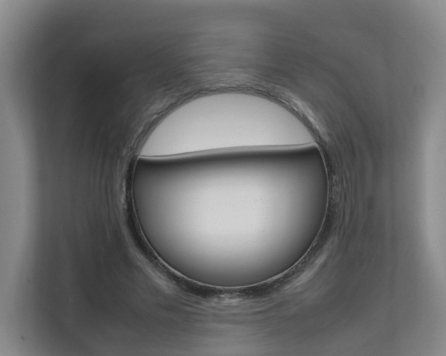 X0000112070589200908040952
