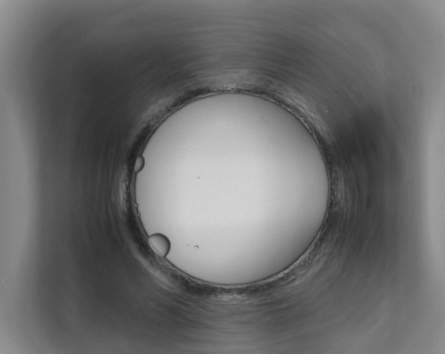 X0000112070590200908040952
