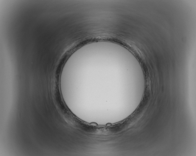 X0000112070591200908040952
