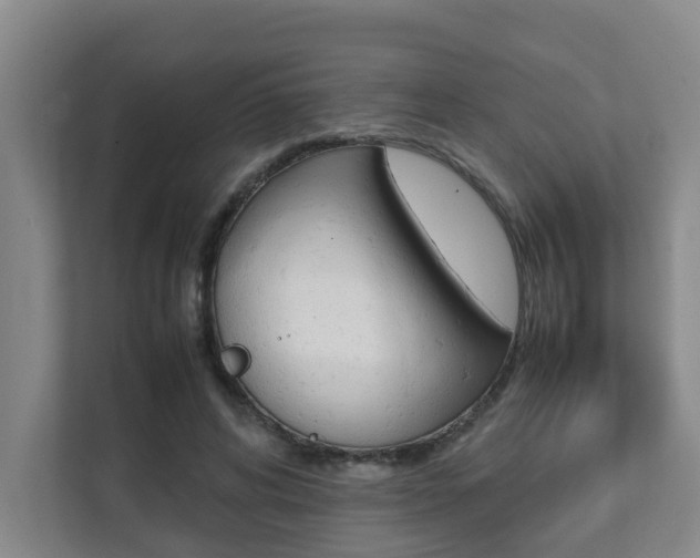 X0000112070592200908040952
