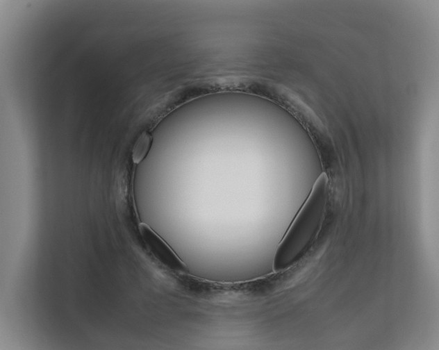 X0000112070593200908040952