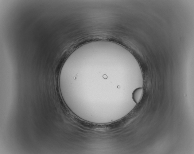 X0000112070595200908040952