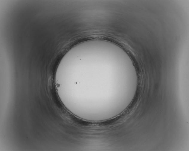 X0000112070597200908040952